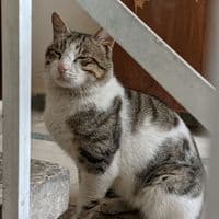 Анна Петрова