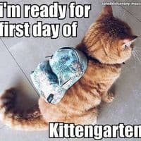 Макс Поляков