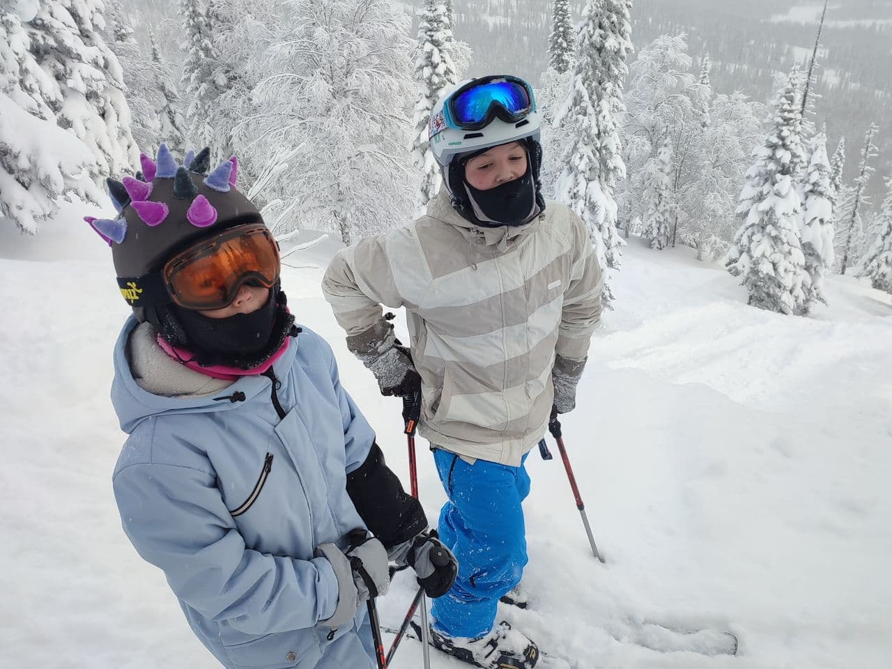 Gallery image for Сергей Остроухов