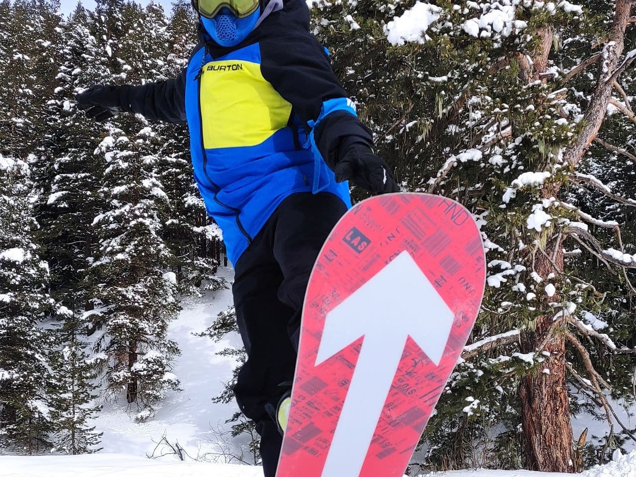 Gallery image for Альберт